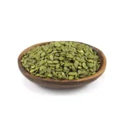 (店+)【元氣家】元氣家 烘焙薄鹽南瓜子仁 200g
