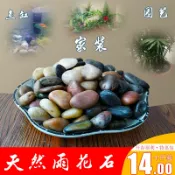 協貿國際日用品生活6館 【10斤】南京雨花石原石花盆園藝畫鵝卵石天然五彩色石頭庭院魚缸