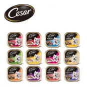 Cesar 西莎 狗餐盒 100g 精緻餐盒 犬用 狗罐頭 狗罐 西沙 狗食 狗糧 乾糧 台灣公司貨