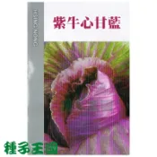 種子王國 紫牛心甘藍種子【蔬果種子】紫色高麗菜種子 每包0.5ml 興農種苗 彩色原包裝種子