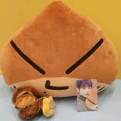 ⭐韓國代購正版⭐NCT樸志晟 wichu栗子抱枕nctwish鑰匙鏈玩偶專輯周邊毛絨公仔書包