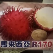 ☆麻絲園種苗☆ 新興果樹/ R170紅毛丹