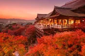 【colatour 可樂旅遊】關西一日遊｜京都清水寺、奈良 【大阪／京都出發】金閣寺＋清水寺＋伏見稻荷大社