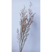 卡斯比亞（原色）散 裝