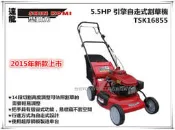 暫停販售【台北益昌】達龍SHIN KOMI 5.5HP 自走式割草機 TSK16855+集草袋+側排 園藝好幫手 除草機