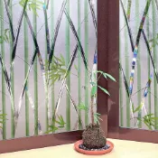 日本創意生活雜貨館 日本MEIWA抗UV可變色靜電窗貼 (竹林風情) - 46x200公分