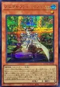 【星爆卡舖】QCCU-JP162 芳香熾天使 歐白芷 (半鑽) 日紙