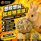 兔子草球 提摩西苜蓿草編織磨牙球 玉米皮球 小寵啃咬玩具 豚鼠荷蘭豬天竺鼠健齒解悶 1入/2入 磨牙潔齒