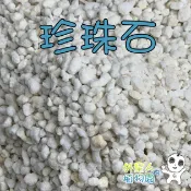 【外星人的植物園】珍珠石 0.5公升 1公升小包裝 珍珠石  介質現貨【滿額免運】 多肉 蕨類 蘭花 介質 觀葉植物