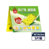 【蝦皮直營】上黏 黏蠅板(黏戶神)五片入/包 露營 餐廳 廚房 蒼蠅 果蠅 誘黏板