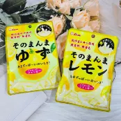 日韓小潼 日本 LION 獅王 系列糖果~日本 Lion 獅王 檸檬皮25g/柚子皮23g 使用日本國產檸檬、國產柚子 無香料 無著色 檸檬乾 柚子乾｜全店$299 全家取貨免運｜滿額折500｜APP下單最高賺19%點數⚡