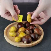 板栗夾 堅果神器 板栗開口器 免剝殼栗子器板栗開口器剝栗子神器十字開切去皮器剝去殼夾子家用生板栗開口機
