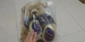 Harrods 哈洛氏～經典聖誕年度熊2000 Merlin 泰迪熊～衣服褪色由藍變深紫