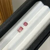 【裸石】碧璽 Tourmaline LT11/LT79