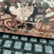 挖寶二手片-Y69-935-正版DVD-韓片【姦臣 色誘天下】-林智妍 金康宇 朱智勳