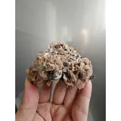 [My mine]-編號 ZJ-0418255158-寶石薔薇-摩洛哥橘粉色花瓣重晶石白鉛鉛礦白文石共生原礦-浮生熒光