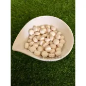 【跳跳】小動物用營養品 鳳梨木瓜酵素錠 維他命C錠 奇異果錠 小動物補給營養食品 鼠兔零食 倉鼠 天竺鼠 兔子零食