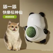 🌼免運🌼貓薄荷球 可食用棒棒糖 貓咪薄荷球 旋轉球 貓咪玩具 貓梳 梳子 寵物用品 KCWB