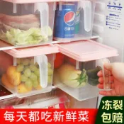 協貿國際日用品生活6館 冰箱收納盒廚房雞蛋餃子裝食品神器飲料冷凍箱蔬菜水果保鮮展示盒