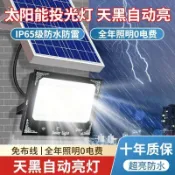 無限極台灣館 1000W太陽能戶外燈 感應燈 投光燈 探照燈 照明燈 LED射燈 路燈 黃暖白光 遙控 天黑自動亮