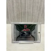 Upper Deck LeBron James 球衣卡 老詹 騎士隊 NBA 球員卡