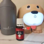 全新公司貨❤️ Young living 佛手柑精油 15ml 悠樂芳明星產品
