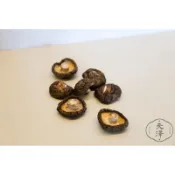 ［天澤商行］新社香菇 小農 香菇 廠商直送 乾燥香菇100g/包