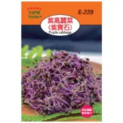 (店+)【天橙種子】紫高麗菜種子 紫寶石 E-228 芽菜類種子 天星牌 家庭園藝 彩色原包裝種子 小包裝種子