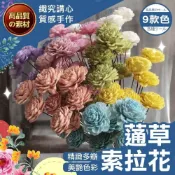 (店+)【織心手作】蓪草索拉花 人造花 擬真花 仿真花 乾燥花 不凋花 蓪草花 拍攝道具 索拉