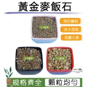 【綜一園藝-滿額免運】黃金麥飯石 餔面首選 (細粒、小粒、中粒) 多肉介質 水族造景 造景石頭