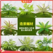 仿真蕨類綠植葉片 小把假植物 牆面背景牆裝飾 插花圍擋造景綠葉 xd1