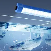 led燈管魚缸專用防水220飯店魚池海鮮藍白光水產水族養魚炤明燈條
