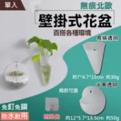 攝彩@無痕北歐壁掛式花盆 水栽 多肉 戶外居家園藝 浴室廁所 盆栽 花器 綠化 園藝資材 免鑽免釘 植物吊掛 室內【全壘打★APP下單 跨店最高20%點數回饋!!】