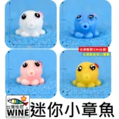 WINE台灣惟恩 微景觀 迷你 小章魚 章魚 多肉 盆栽 造景 婚禮裝飾 辦公室小物