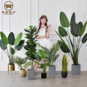 免運 附發票 公司貨 模擬植物 假樹 裝飾綠植 人造樹 大型北歐風模擬綠植 ins擺件家居裝飾落地旅人蕉大型室內假花盆栽工廠現貨直銷 店長新品推薦 售後保障 全館折扣 5F1024