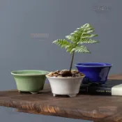 小敞口三腳盆 日式高級盆景小盆子菖蒲盆苔蘚盆蕨類花盆多肉綠植