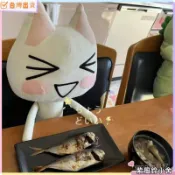 🍂剛剛好🍂日系可愛多羅貓玩偶井上多羅毛絨玩具公仔 toro貓布娃娃禮物XI