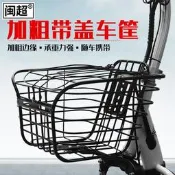 電動腳踏車車籃電瓶車車筐加粗加大框菜籃子寵物籃帶蓋車簍鐵框