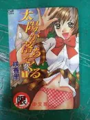 漫畫書 無章釘 C169 太陽 落 1 咲香里 新視界 A漫H漫 18禁 限制級18歲以下請勿購買G74