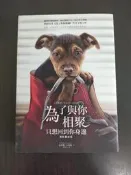 【享讀書房A3】《為了與你相聚 (電影書衣版)》卡麥隆 / 圓神
