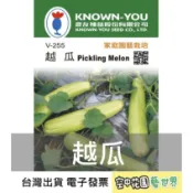 【台灣出貨 電子發票】越瓜 種子 15粒 菜籽 蔬果 家庭園藝 農友 空中花園藝世界 V-255