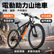 🔥技師維修🔥電動腳踏車 29吋電動登山車 前後雙碟煞 電動越野車 電動代步電瓶車 電動自行車 台灣維修 電動自行車 