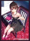 [風音卡鋪]現貨 BUSHIROAD 卡套 HG Vol.4713 加藤惠 不起眼女主角培育法 一包75張