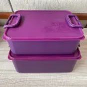 特百惠專賣店 10/6.9L扶桑花漾儲藏盒