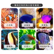 高蛋白 海水魚PRO下沉飼料  1mm  不限魚種 淡水魚也可食用