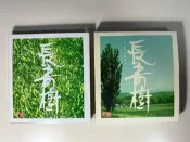 長青樹 2003年紙盒首版 2CD 有歌詞冊 有外紙盒