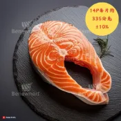 (店+)【大欣亨】智利冷凍鮭魚厚切片14P每片淨重335公克〈包冰率40%〉非真空袋(急速冷凍)B171017