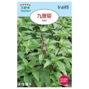 (店+)【天橙種子】九層塔種子 紅骨 Basil 香辛類種子 天星牌 穗耕種苗 彩色原包裝