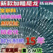 寶承齊百貨 果樹防蟲網罩果園大棚加粗耐用尼龍網稻谷櫻桃葡萄梨樹草莓防鳥網