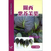 【萌田種子~】H23 關西紫芥茉菜種子1.1公克(約500粒) 花和莖葉皆可食用 略帶芥茉味~